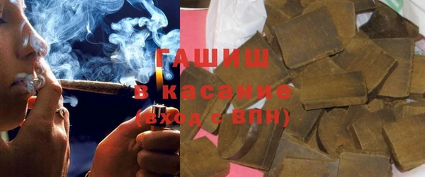 стаф Алзамай