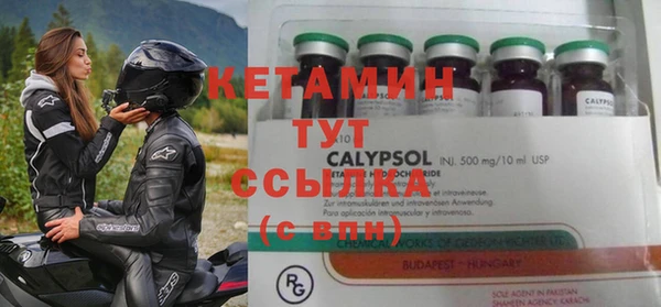 стаф Алзамай
