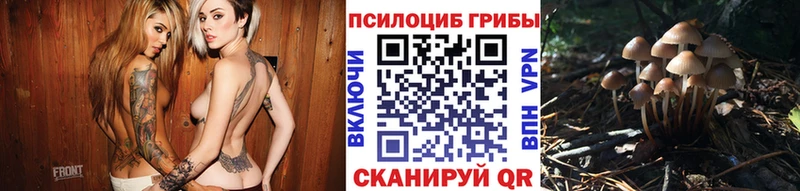 продажа наркотиков  Динская  KRAKEN ТОР  Галлюциногенные грибы Psilocybe 