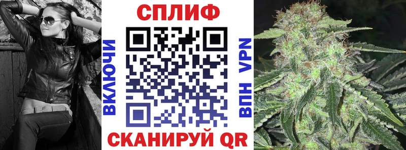 купить наркоту Динская Конопля марихуана